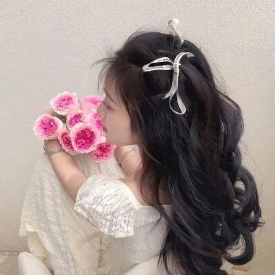 双栖间谍